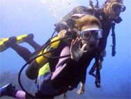 Diving in Menorca